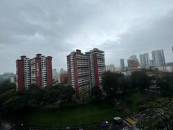 Stirling Residences (D3), Apartment #491308231